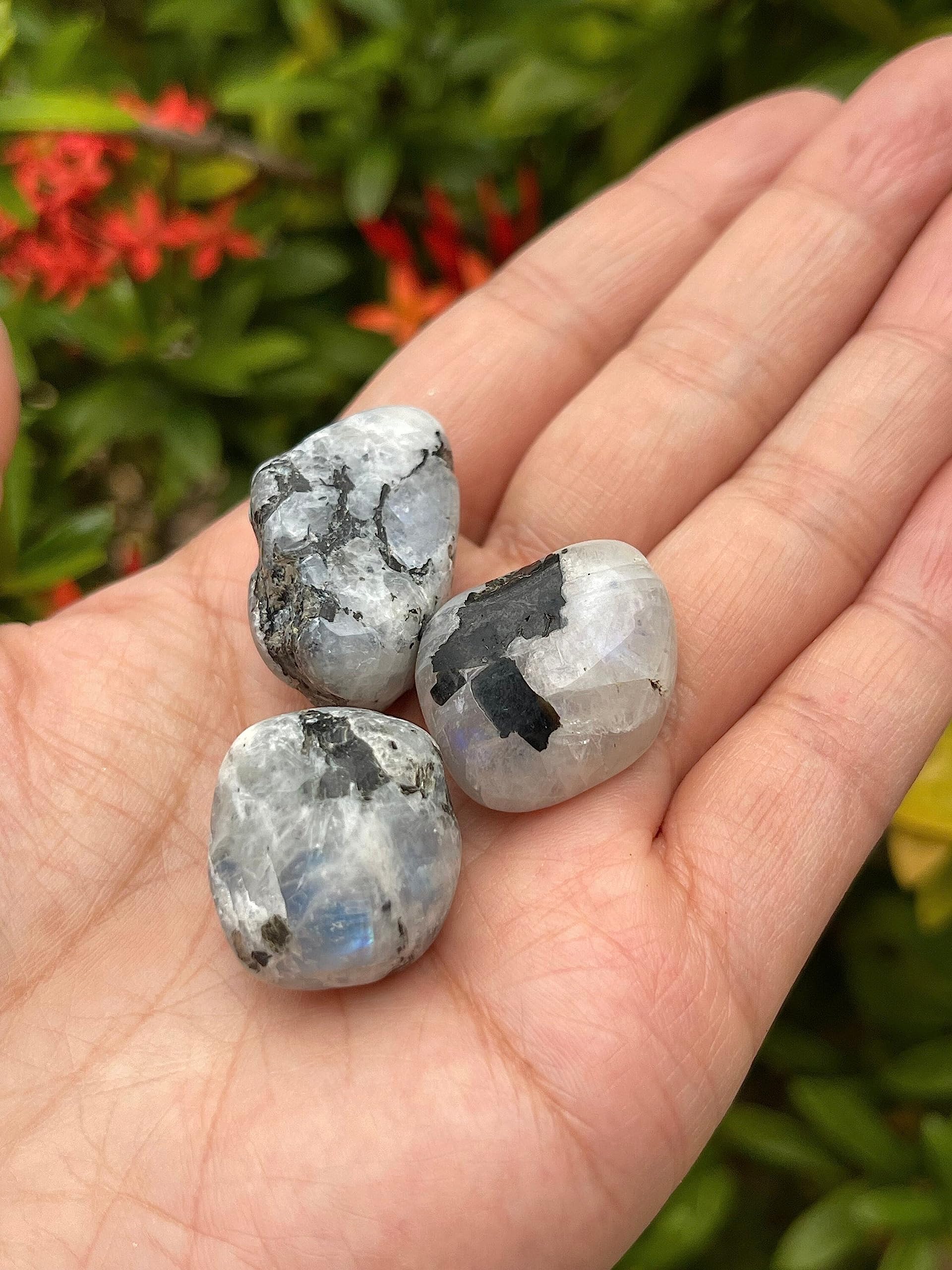 GAF Treasures Rainbow Moonstone stones sized 0.75 to 1.25 inches.