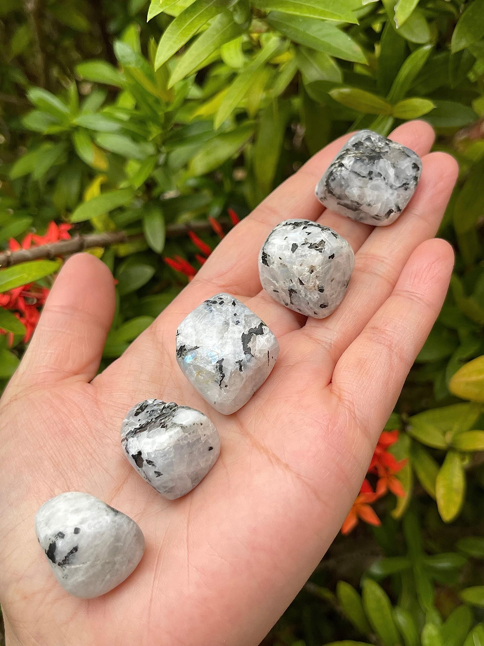 GAF Treasures Rainbow Moonstone stones provide 32–38 per pound in this batch.