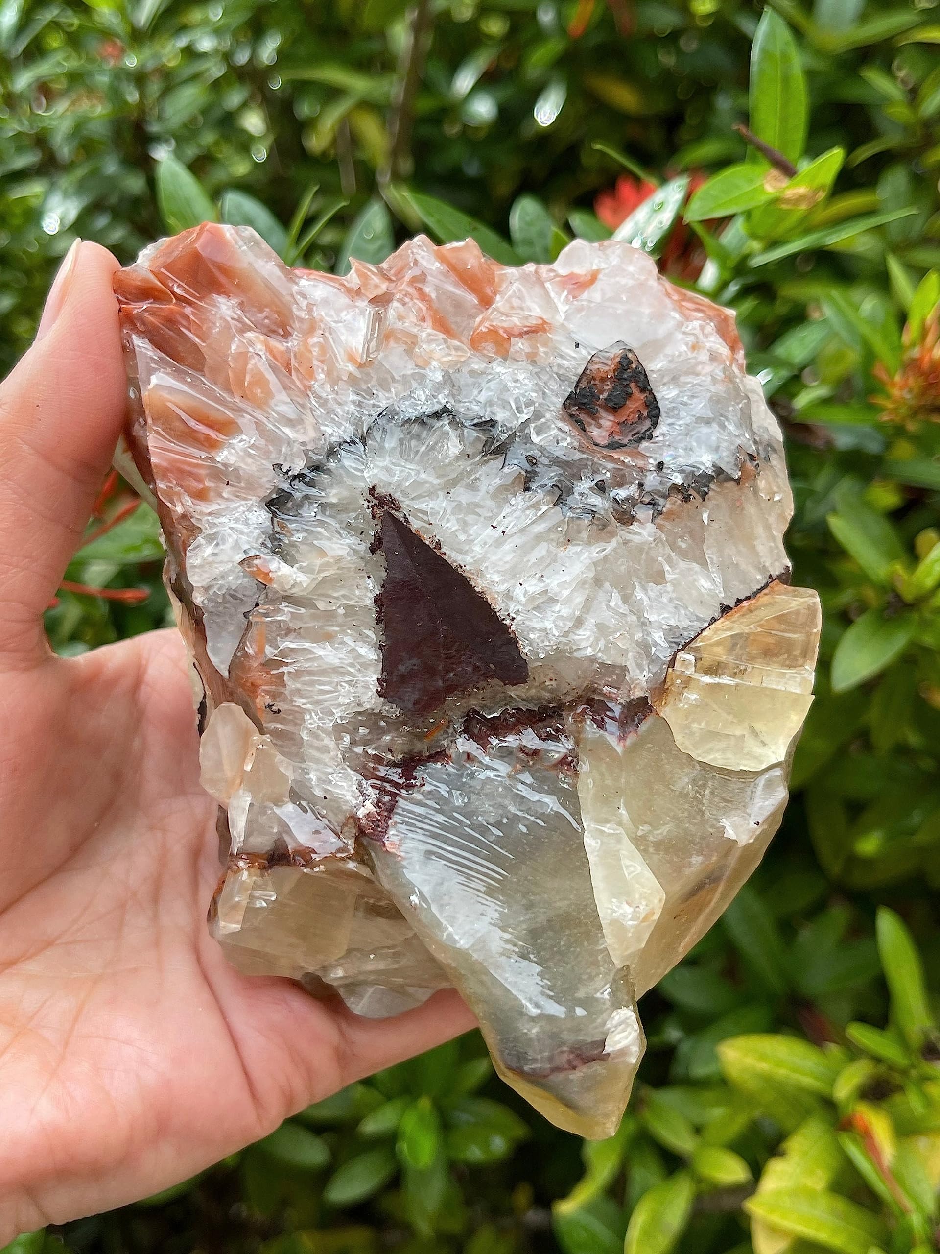 GAF Treasures Mexican calcite rough stone set for art and hobbyist.