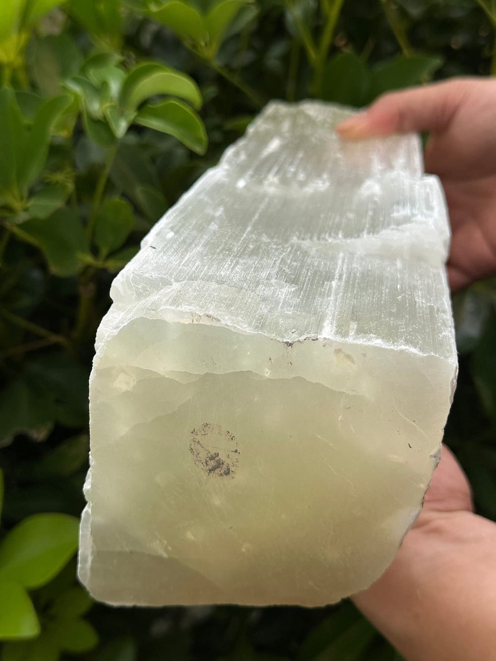 GAF TREASURES rough raw selenite bar — unique shape with varied thickness.