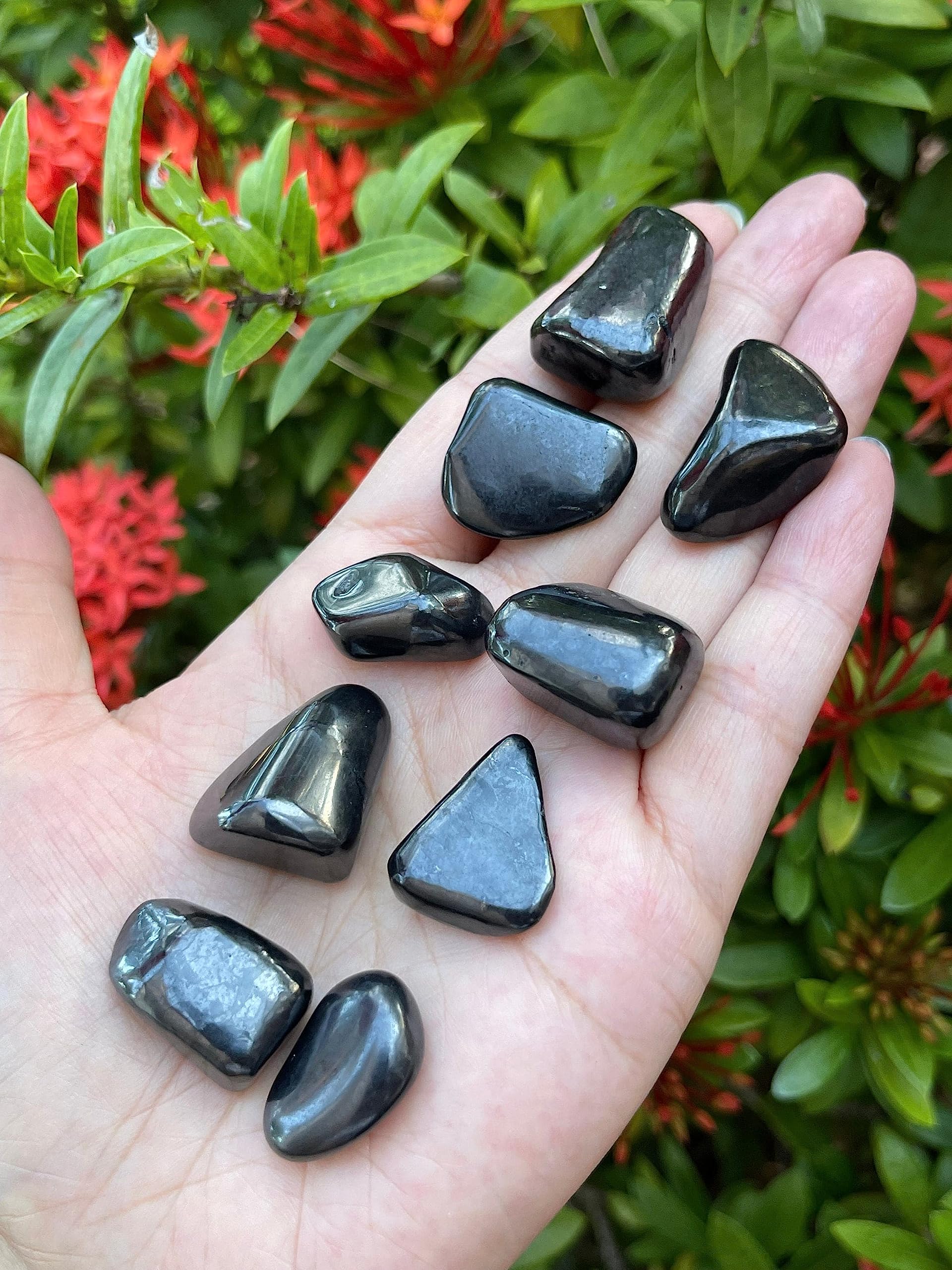 GAF TREASURES Shungite polished rocks arranged for display and meditation.