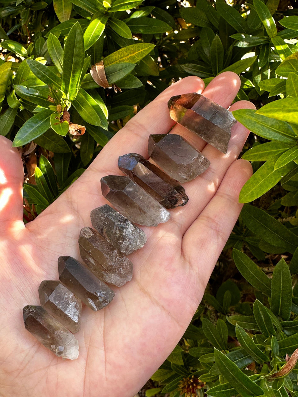 GAF TREASURES Smoky Quartz Point closeup showcases subtle facets for meditation and focus