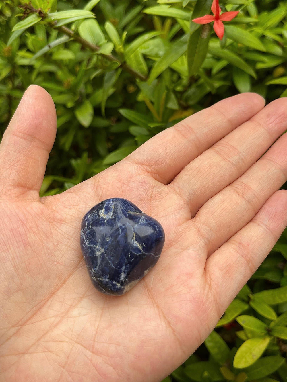 GAF TREASURES sodalite tumbled stones in hand for calming rituals
