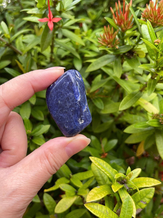 GAF TREASURES sodalite tumbled stones piled for crystal collection and grids