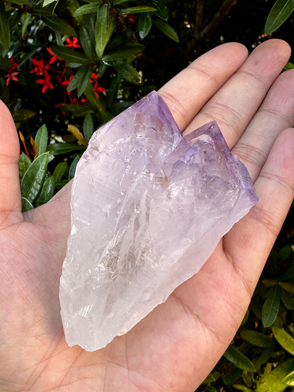 GAF TREASURES XL amethyst point, detailed surface for display and calm ambiance.