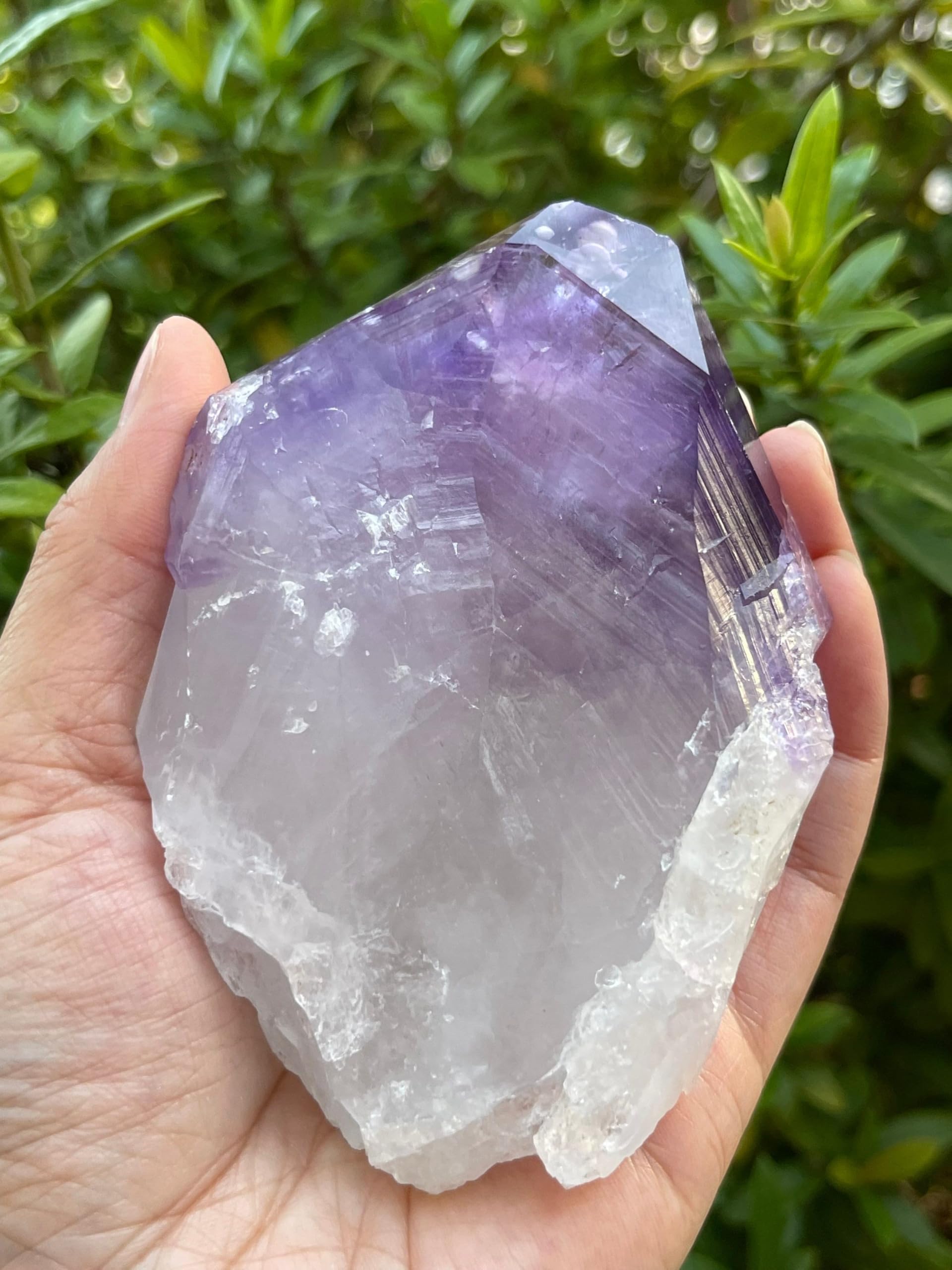 GAF TREASURES XL amethyst crystal in a collection display for contrast.