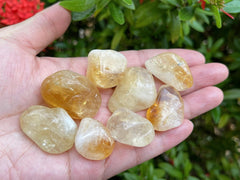 GAF TREASURES Natural color and pattern variation in citrine tumbled stones.