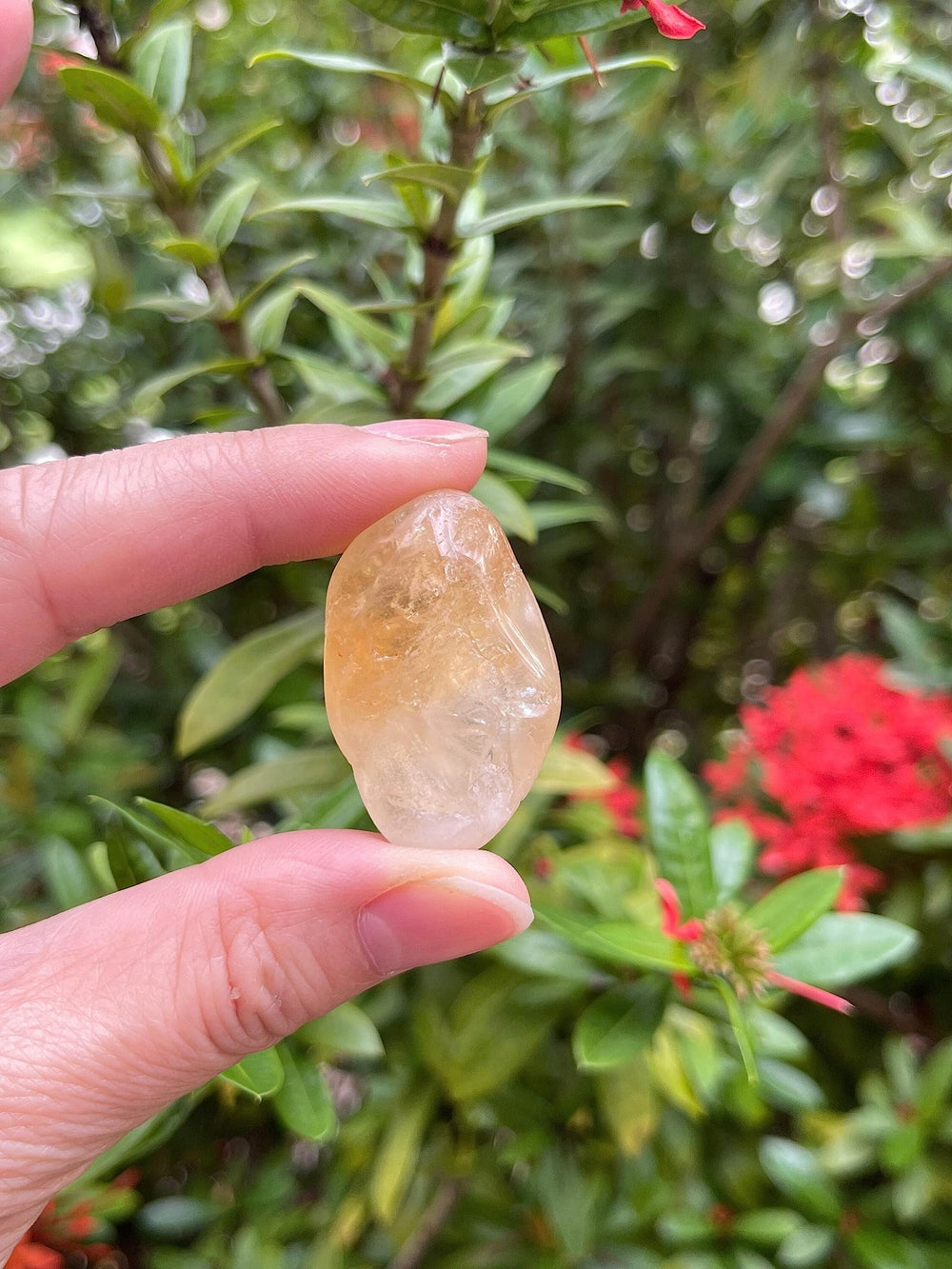 GAF TREASURES Polished citrine rocks in a neat pile show natural color variety.