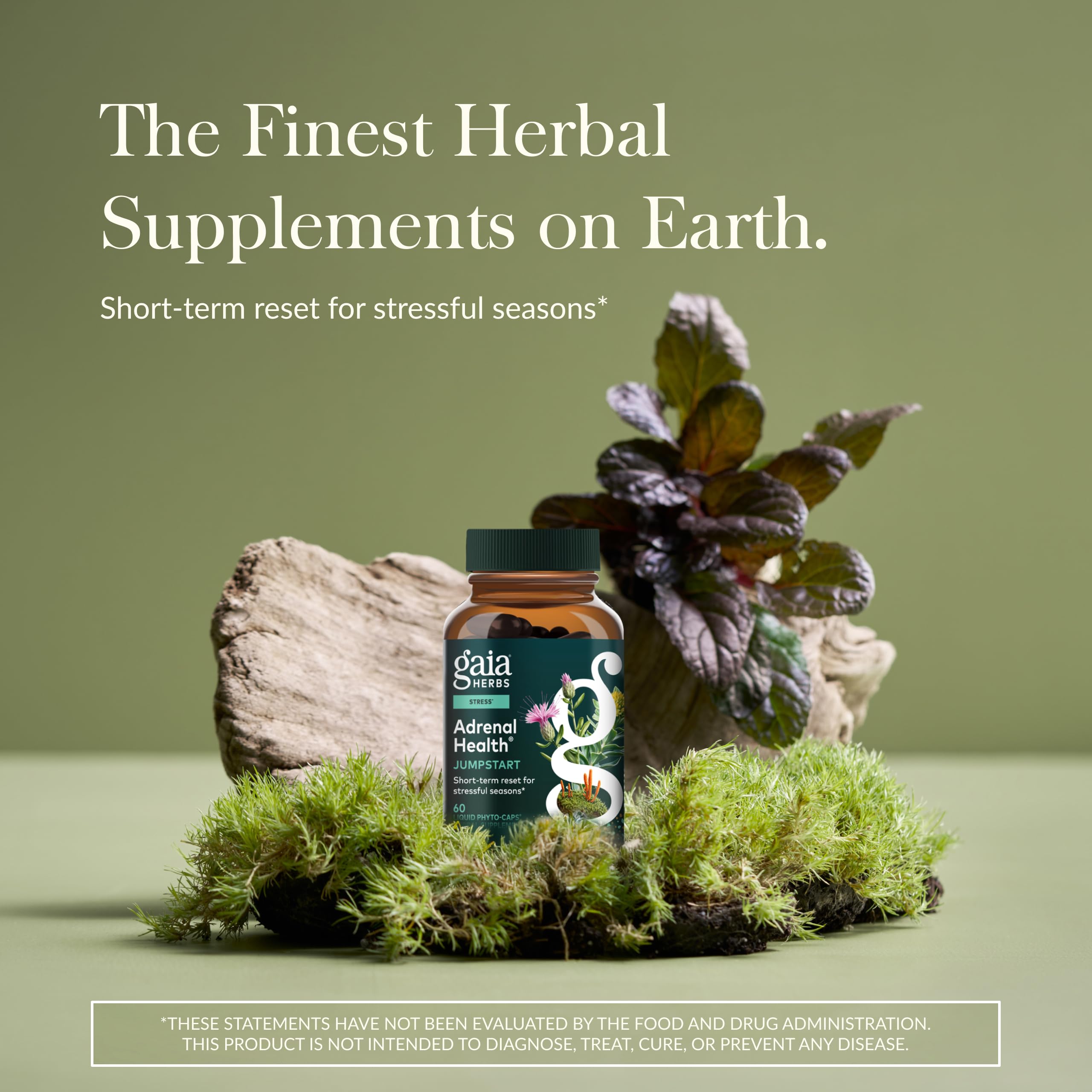 Close-up of Gaia Herbs Adrenal Health Jumpstart capsules for daily energy balance