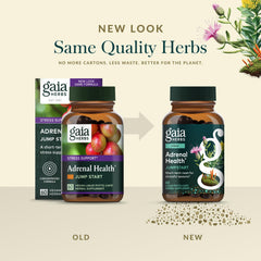 Graphic of cordyceps, rhodiola, schisandra in Gaia Herbs blend