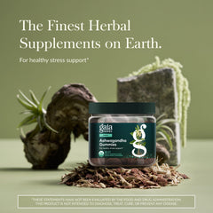 Gaia Herbs Ashwagandha Gummies closeup highlighting chewy texture and flavor.
