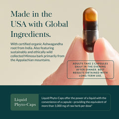 Ashwagandha root close-up indicating adaptogenic roots used in the formula