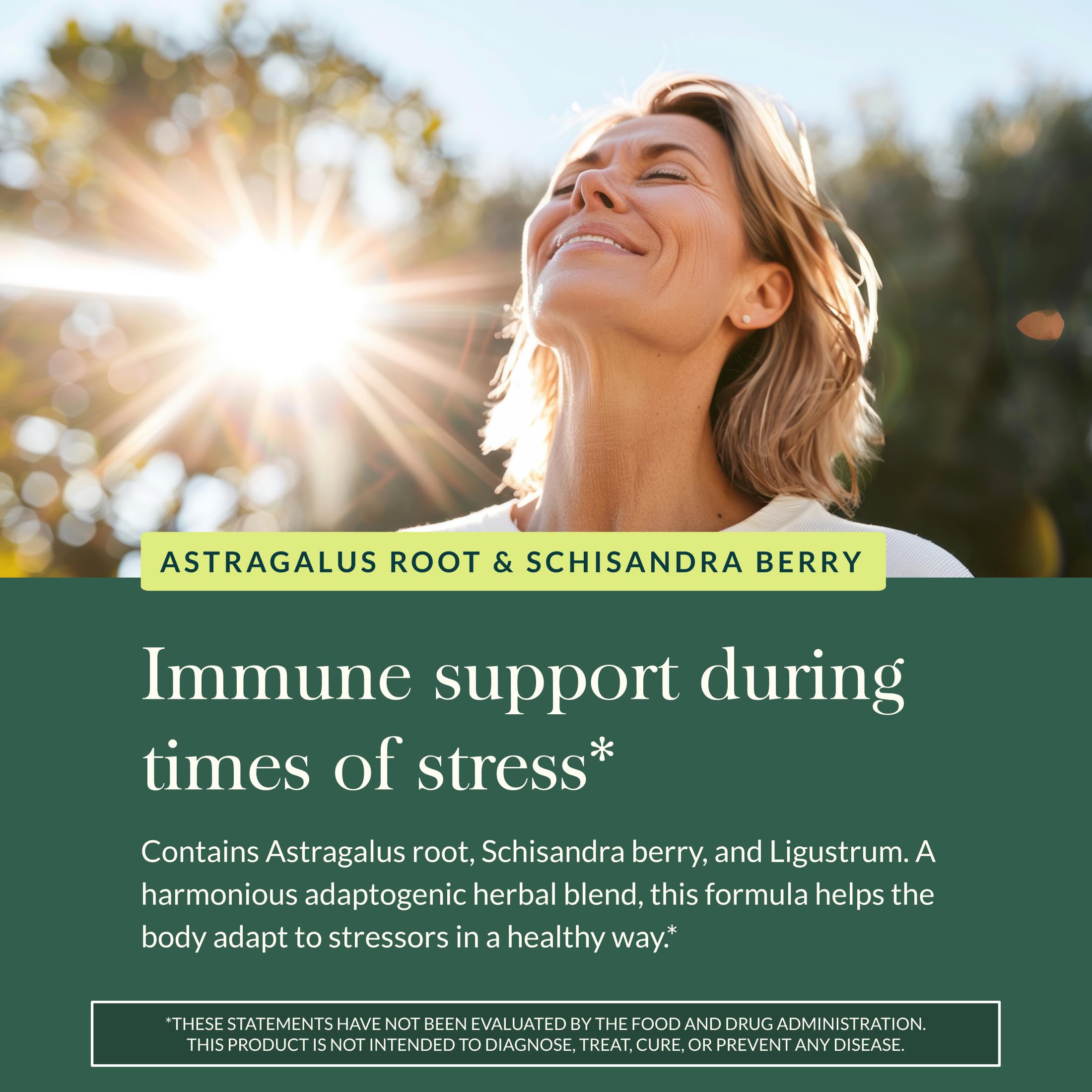 Ingredient chart for Gaia Herbs Astragalus Supreme featuring schisandra berry and ligustrum.
