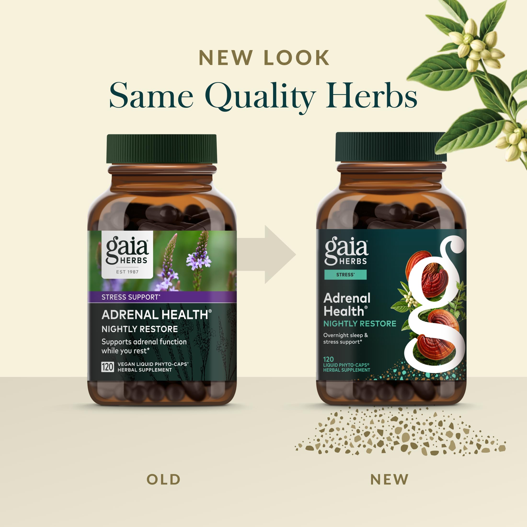 Gaia Herbs cordyceps ingredient highlights energizing herbal complexity