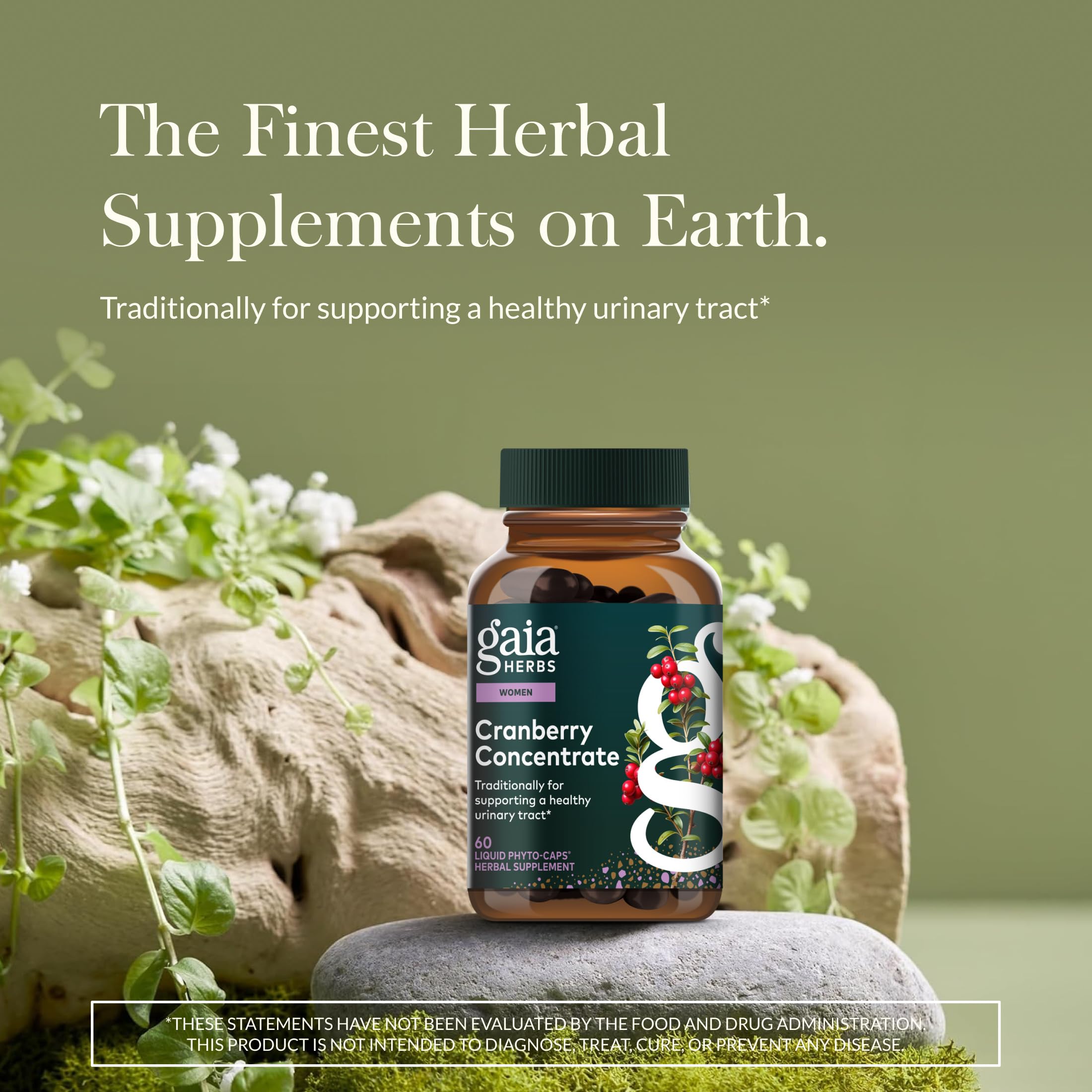 Gaia Herbs Cranberry Concentrate label closeup highlighting quality ingredients.