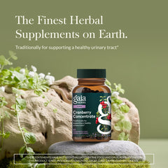 Gaia Herbs Cranberry Concentrate label closeup highlighting quality ingredients.