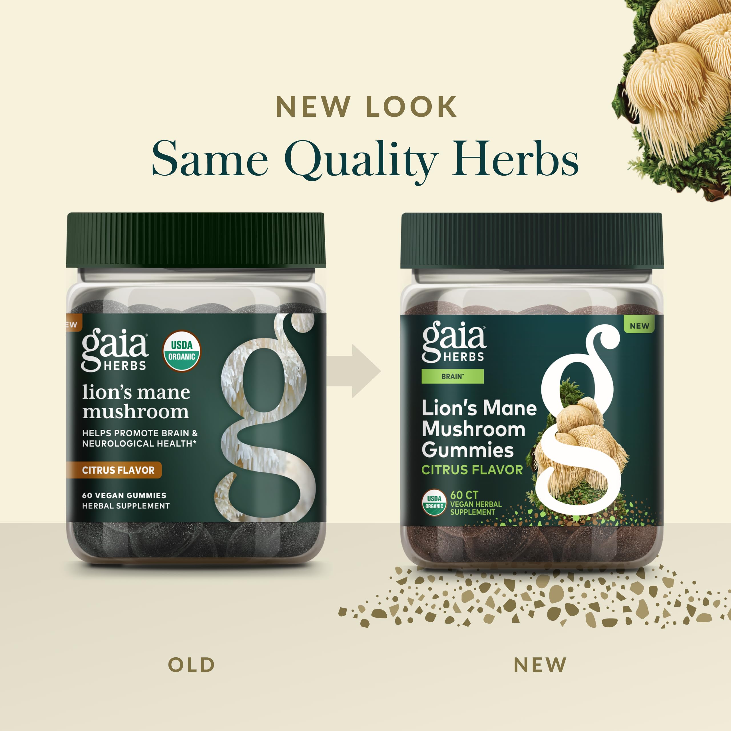 Gaia Herbs earth-to-supplement map showing ethical sourcing.