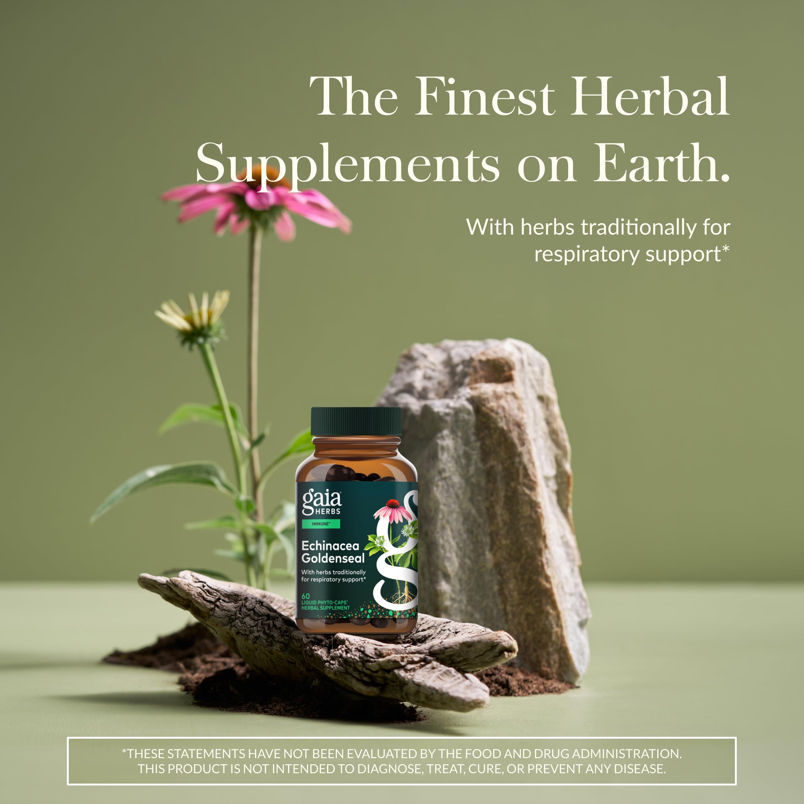 Gaia Herbs Echinacea Goldenseal bottle pour for daily immune comfort