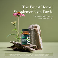 Gaia Herbs Echinacea Goldenseal bottle pour for daily immune comfort