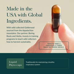 Gaia Herbs Echinacea Goldenseal root duo highlights traditional roots for immune support
