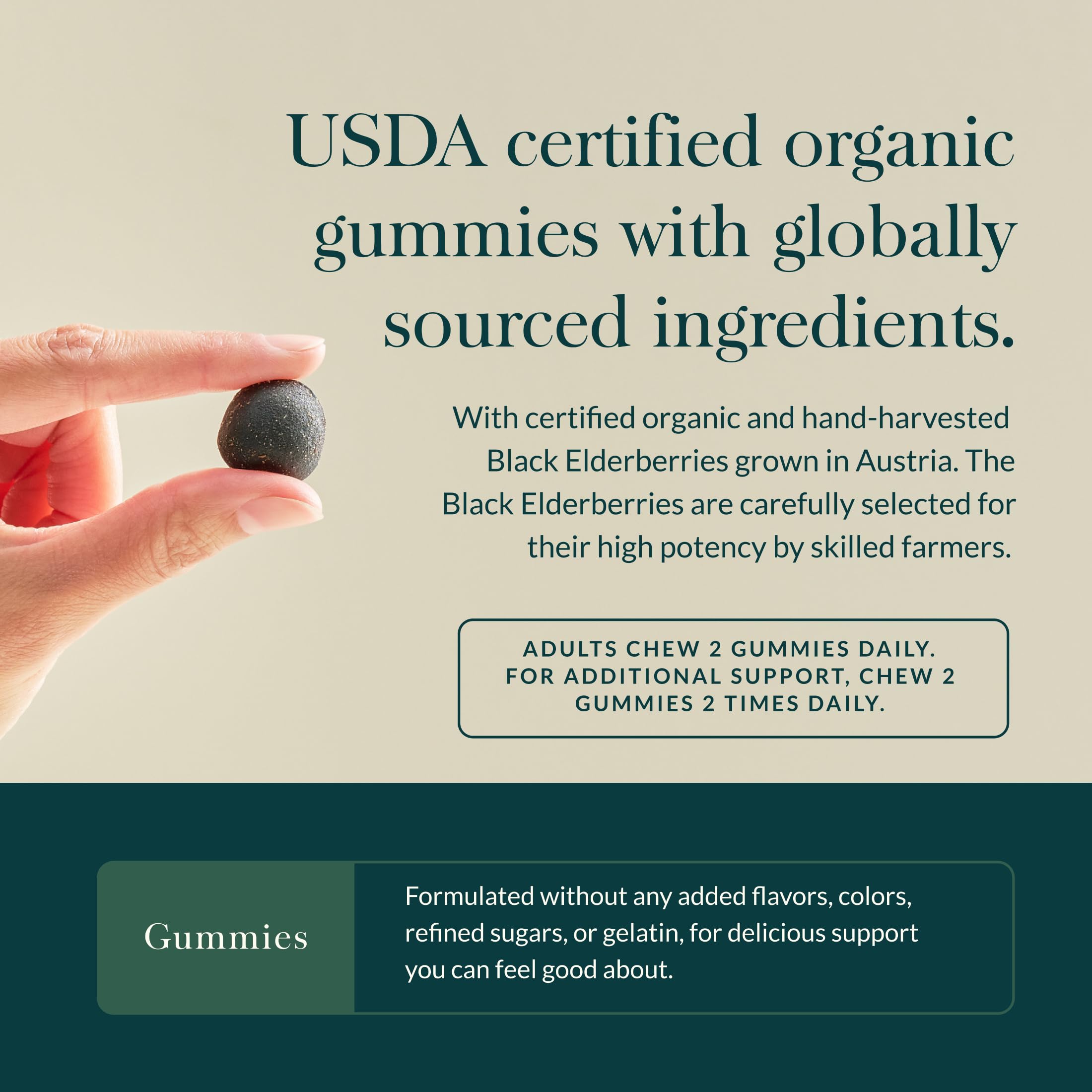 Serving size panel on Gaia Herbs elderberry gummies package.