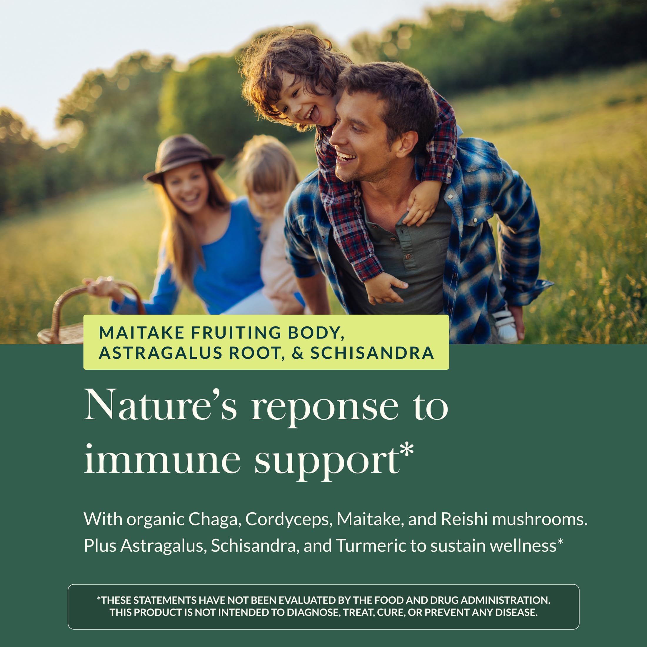 Gaia Herbs Everyday Immune astragalus root present in the blend for routine support
