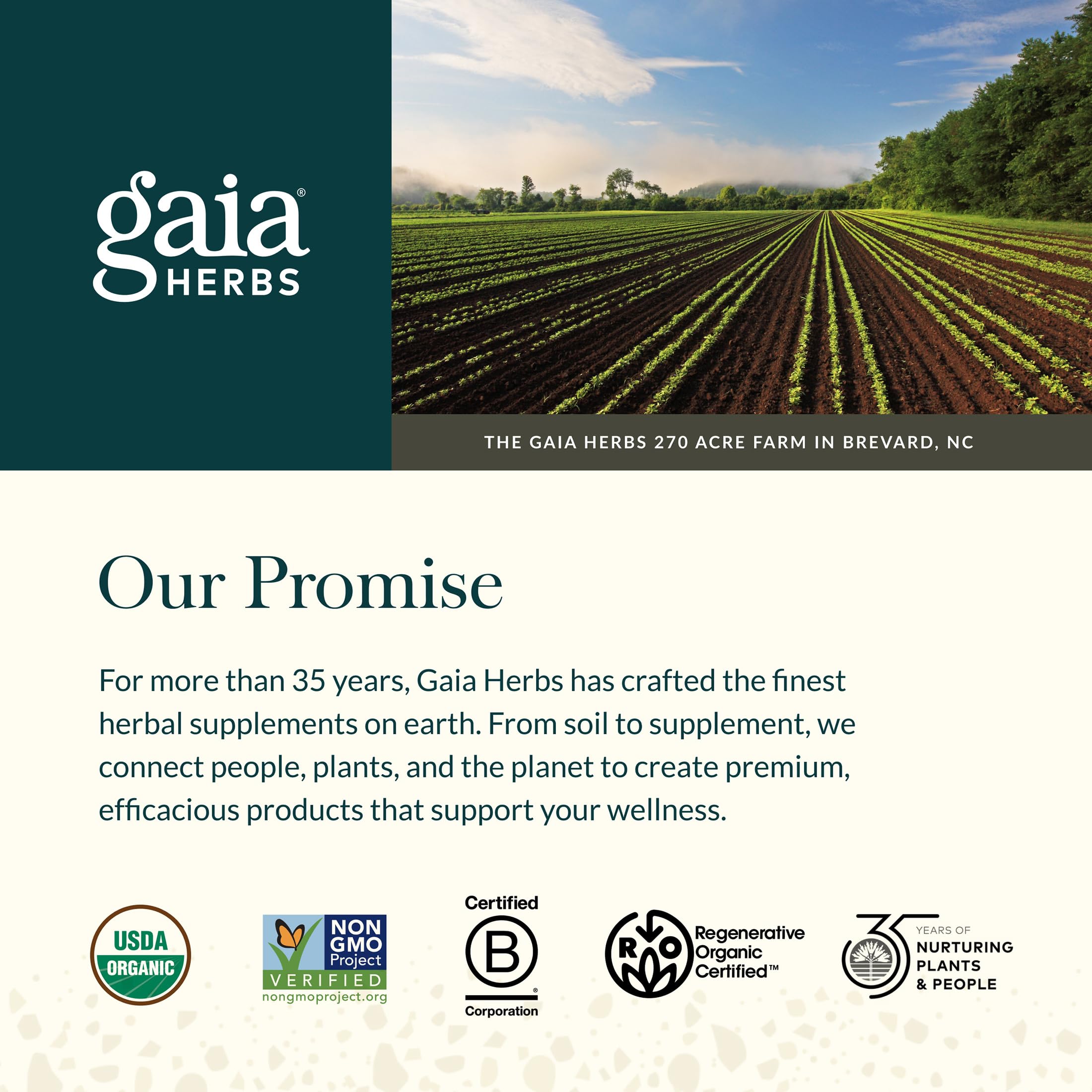 Veg​an phyto-caps from Gaia Herbs Fertility Support ready for daily use.