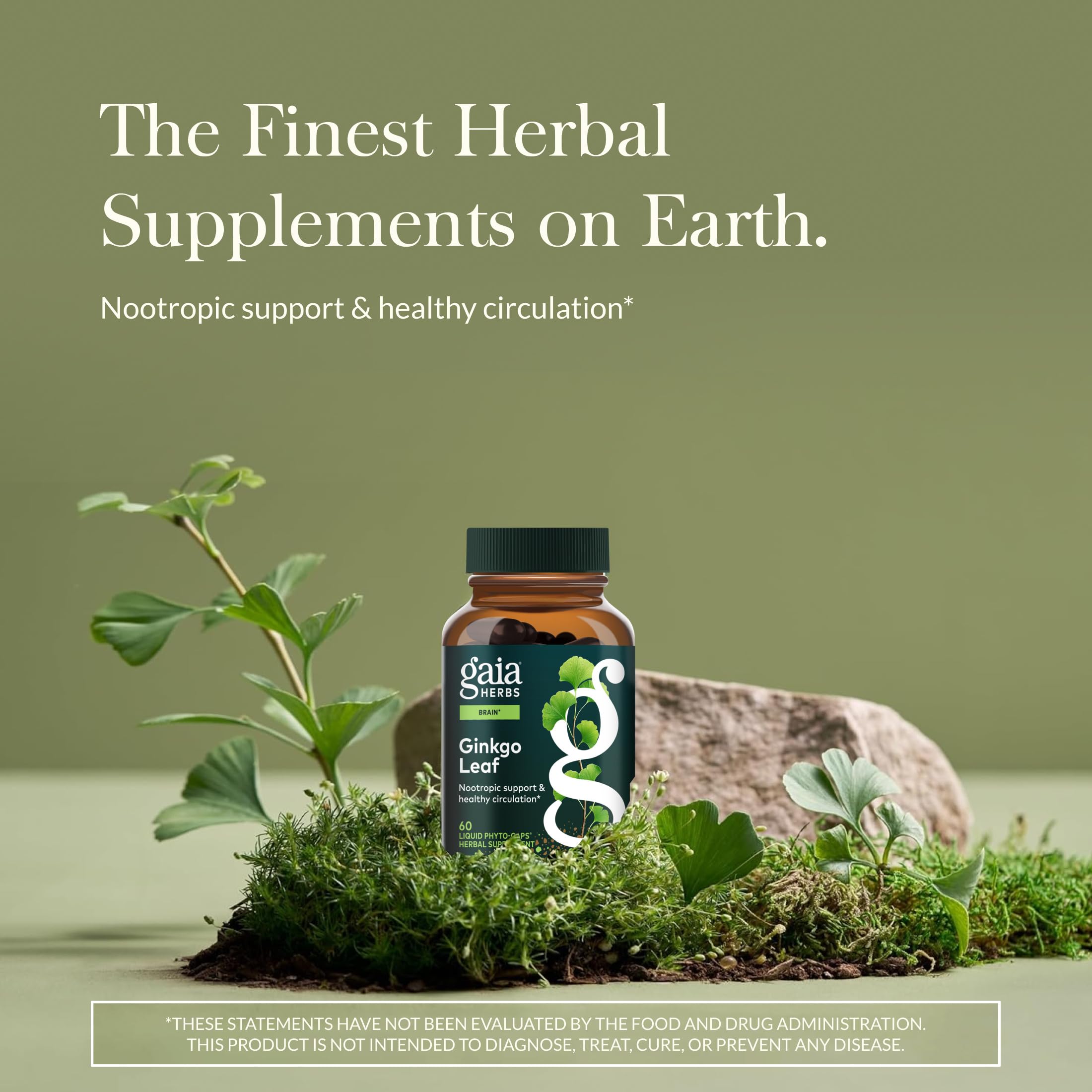 Gaia Herbs Ginkgo Leaf capsules for convenient cognitive support.