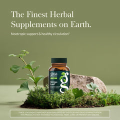 Gaia Herbs Ginkgo Leaf capsules for convenient cognitive support.