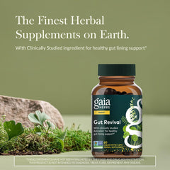Gaia Herbs Gut Revival capsules ready for daily digestive support.