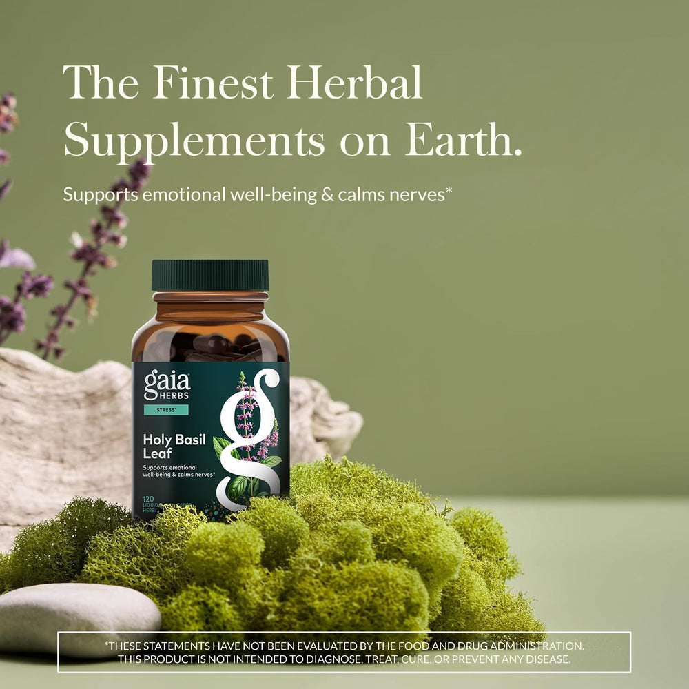 Gaia Herbs Holy Basil Capsules close-up showing convenient vegan capsules for daily adaptogenic routine.