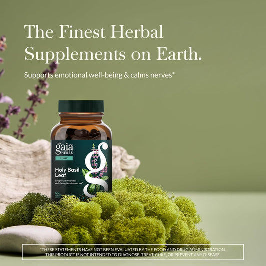 Gaia Herbs Holy Basil Capsules close-up showing convenient vegan capsules for daily adaptogenic routine.
