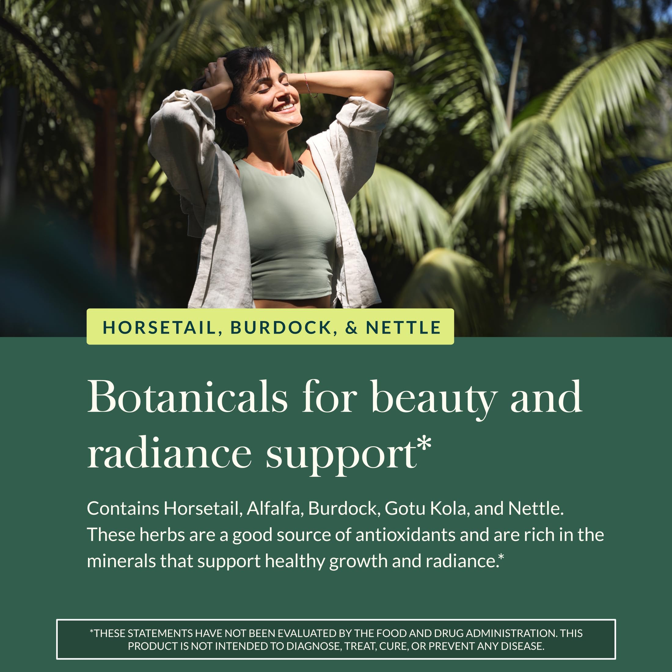 Gaia Herbs horsetail leaves close-up, traditional herb for hair and nails
