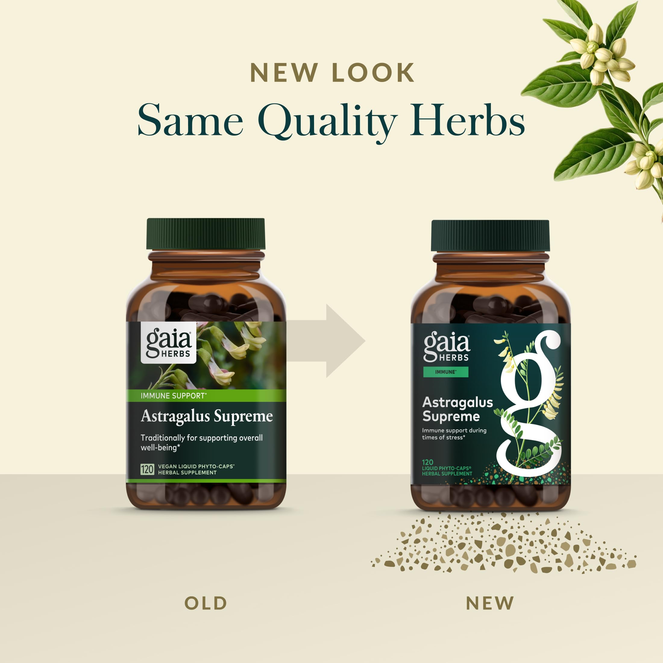Gaia Herbs immune support graphic illustrating holistic herb benefits.