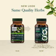 Gaia Herbs immune support graphic illustrating holistic herb benefits.