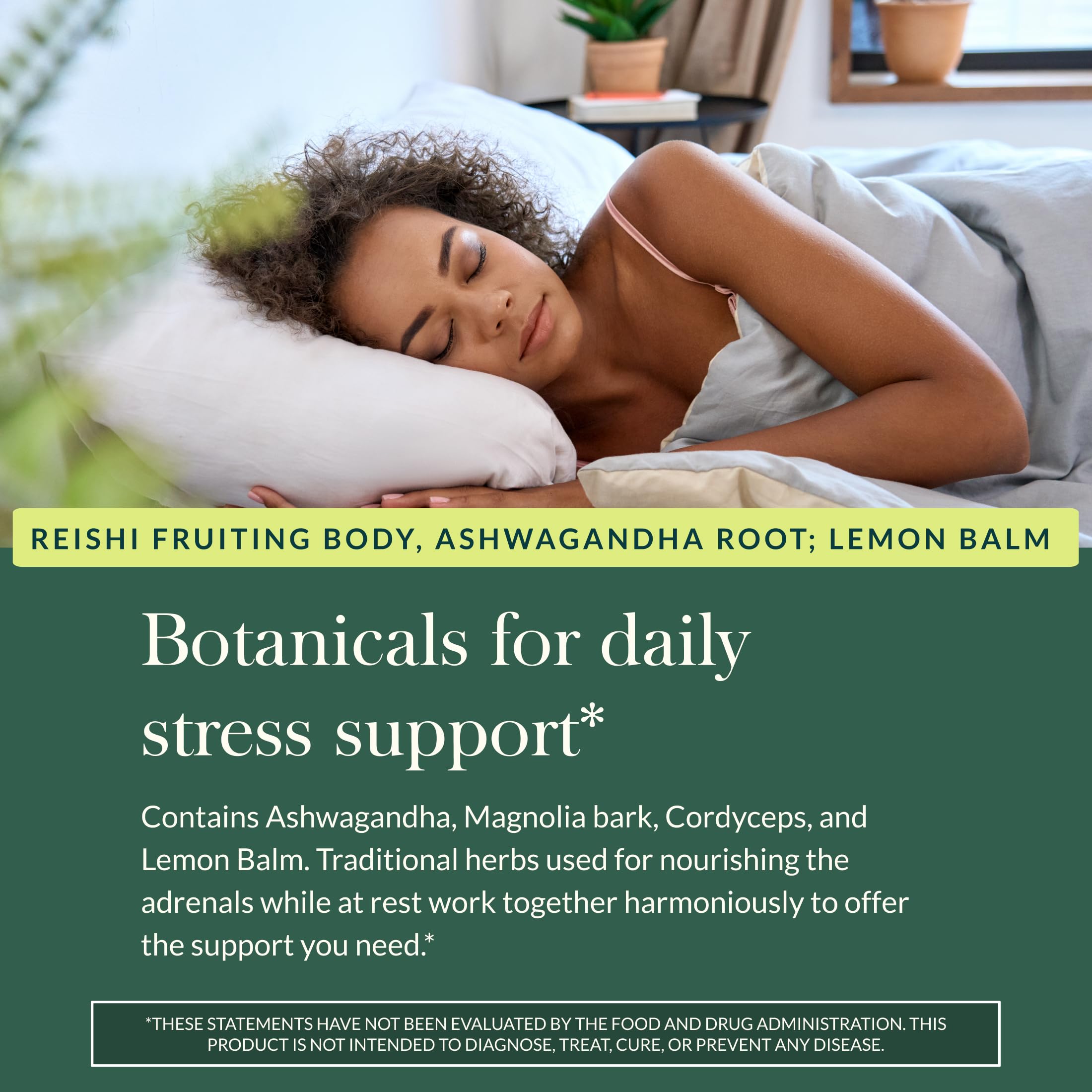 Gaia Herbs lemon balm leaves reveal a gentle calming aroma
