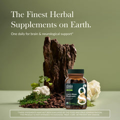 Gaia Herbs Lion's Mane capsules closeup for daily nerve wellness