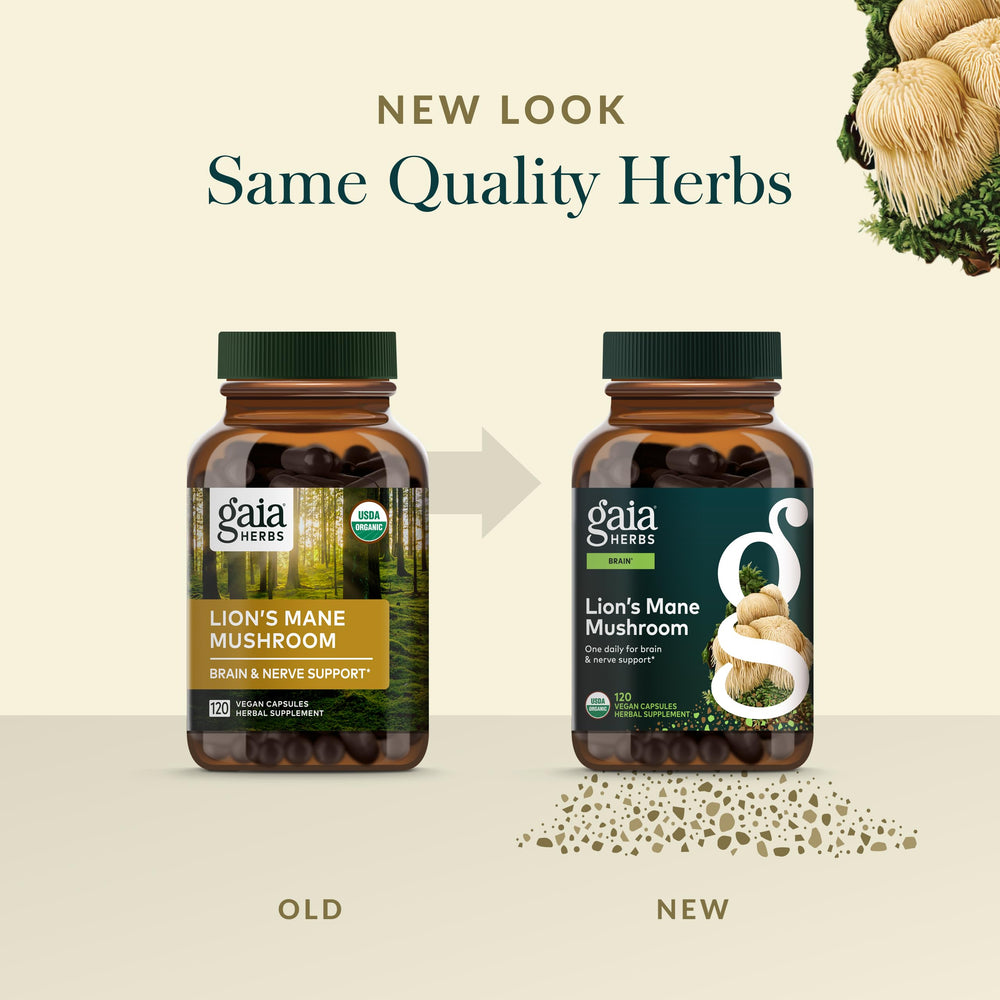 Gaia Herbs Lion's Mane capsules spread for easy daily use