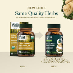 Gaia Herbs Lion's Mane fruiting body close-up highlighting potency
