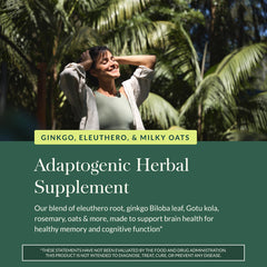 Gaia Herbs Mental Alertness herbal blend label highlighting gluten-free formula.