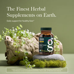 Close-up of Gaia Herbs Milk Thistle label showing full-spectrum extract quality.