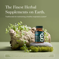 Gaia Herbs packaging label close-up highlighting cold-pressed nigella seed oil