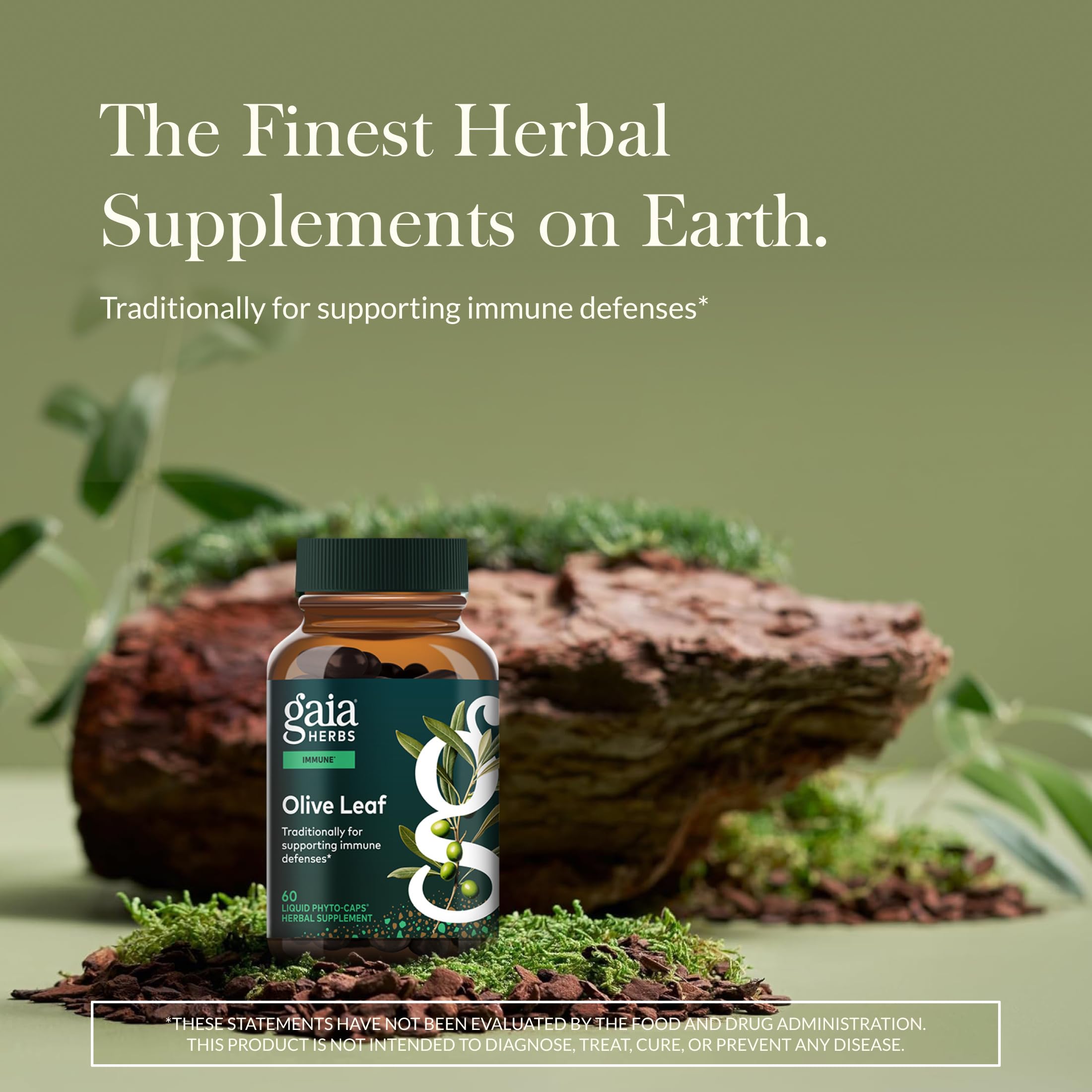 Gaia Herbs Olive Leaf label closeup showing oleuropein content for informed use