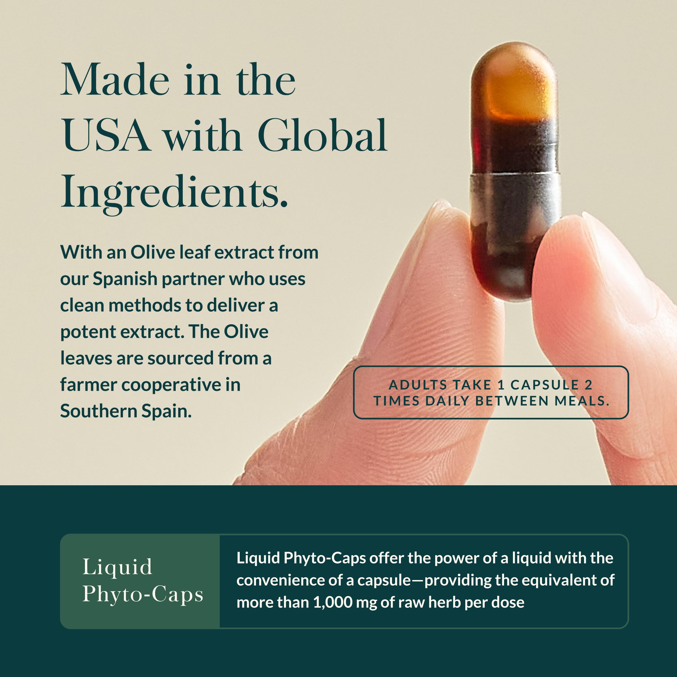 Gaia Herbs Olive Leaf label detail shows origin and quality.