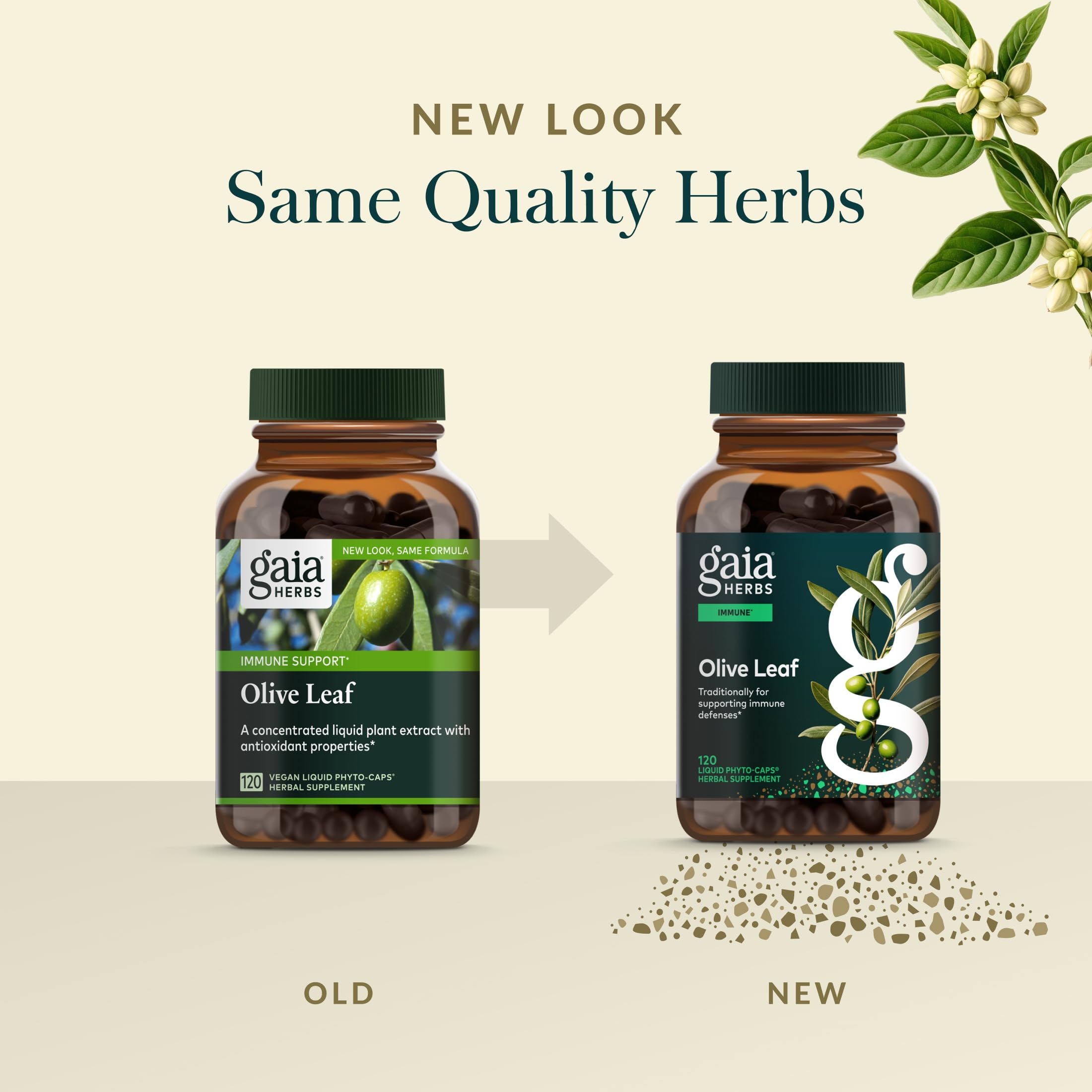 Gaia Herbs origin Spain map highlights ancient olive trees.