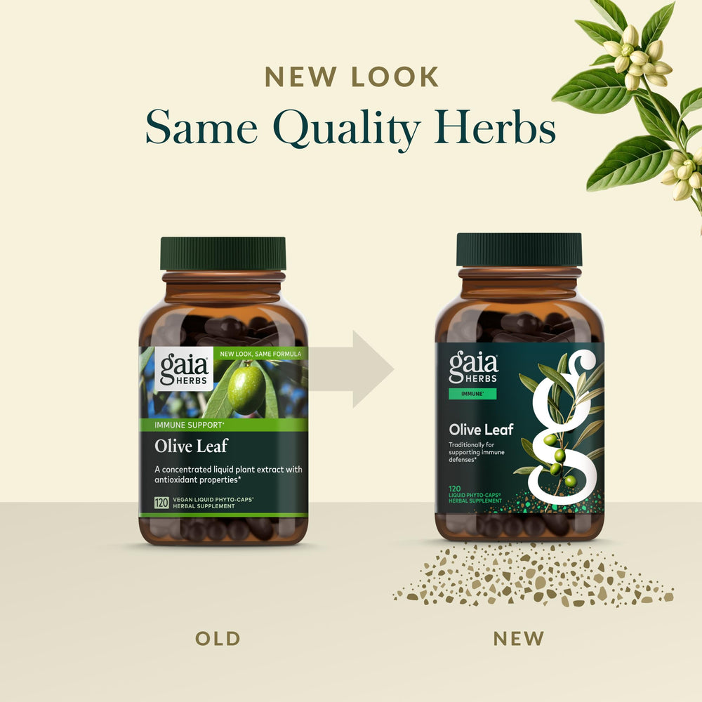 Gaia Herbs origin Spain map highlights ancient olive trees.