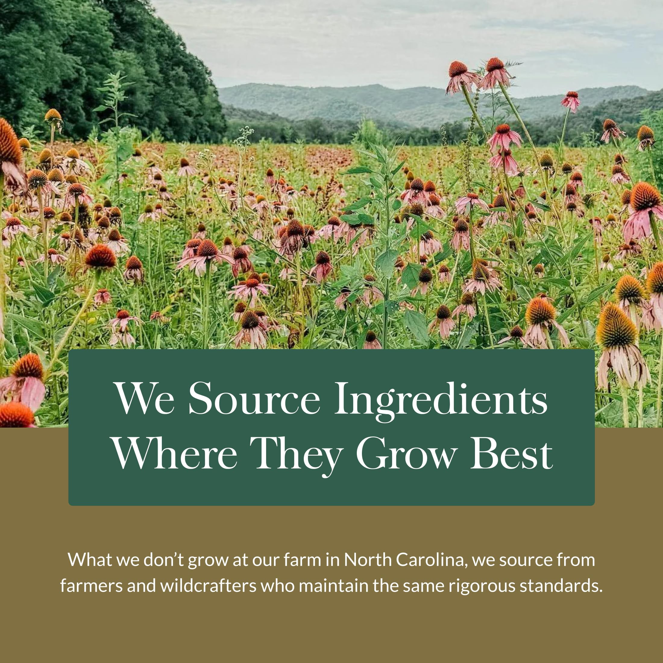 Gaia Herbs packaging and label highlighting quality sourcing from soil to supplement