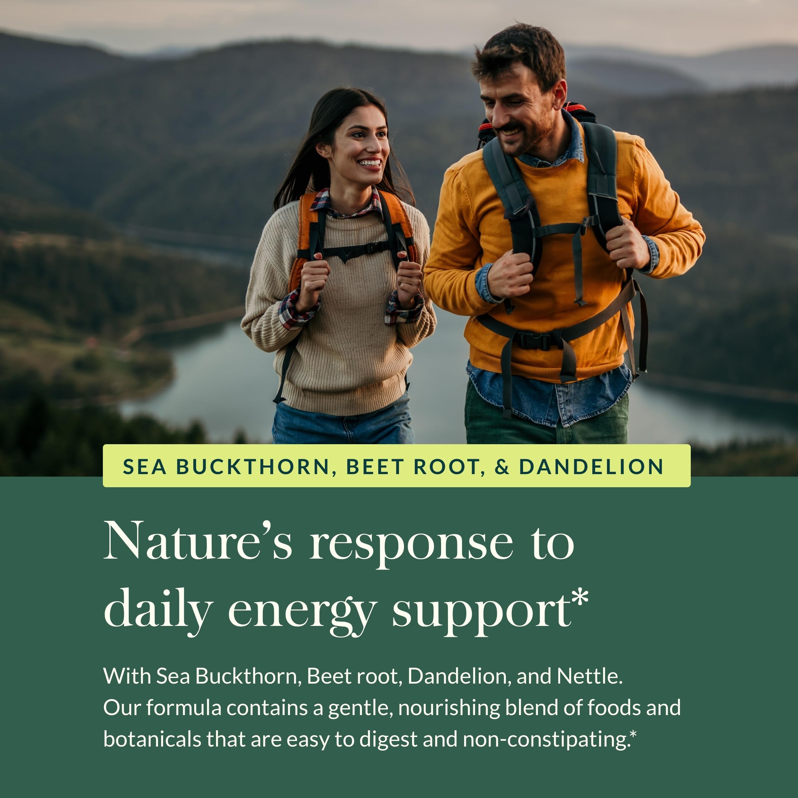Gaia Herbs Plant Force Liquid Iron dandelion, gentle botanicals for daily vitality