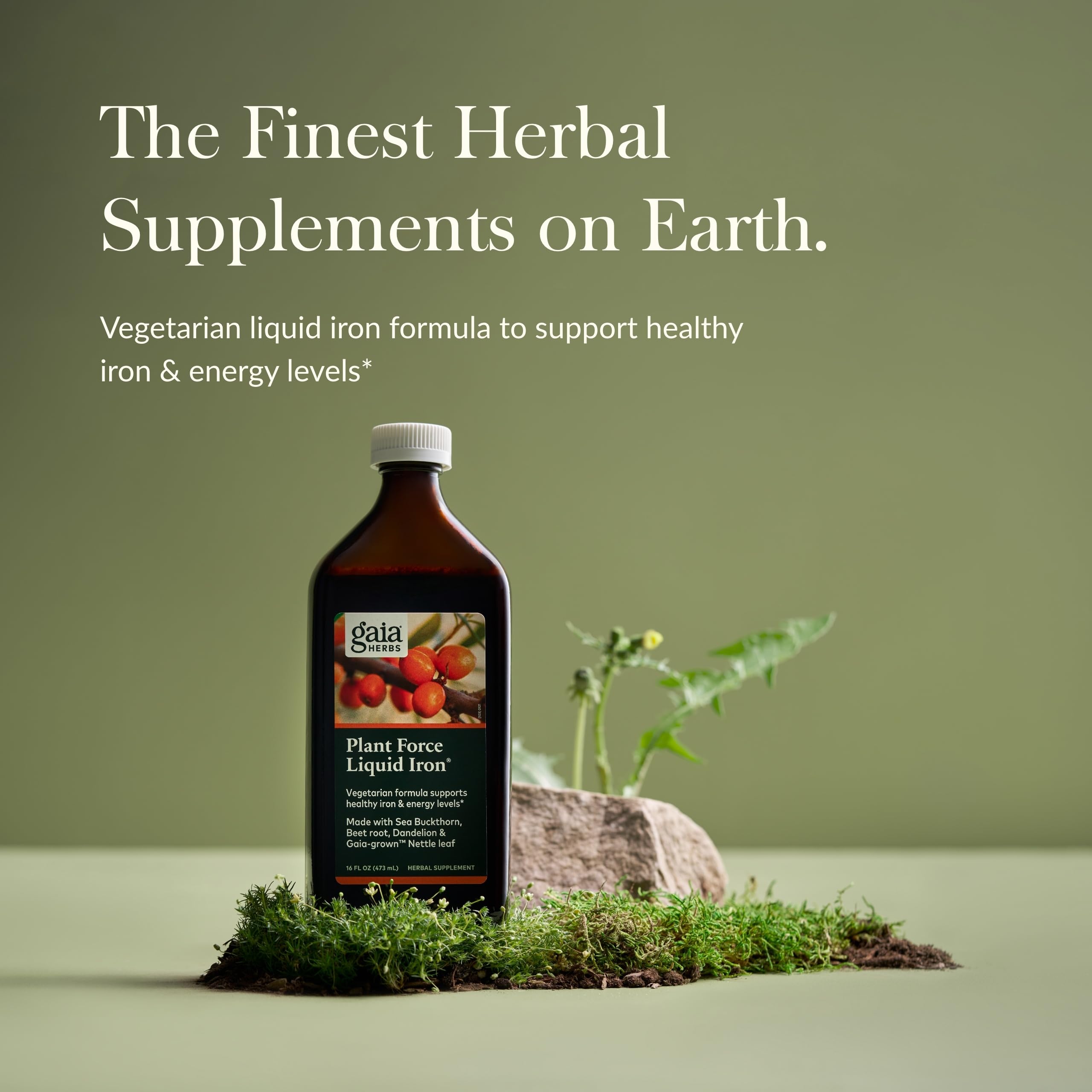 Gaia Herbs Plant Force Liquid Iron star anise close-up, suggesting flavorful iron supplementation