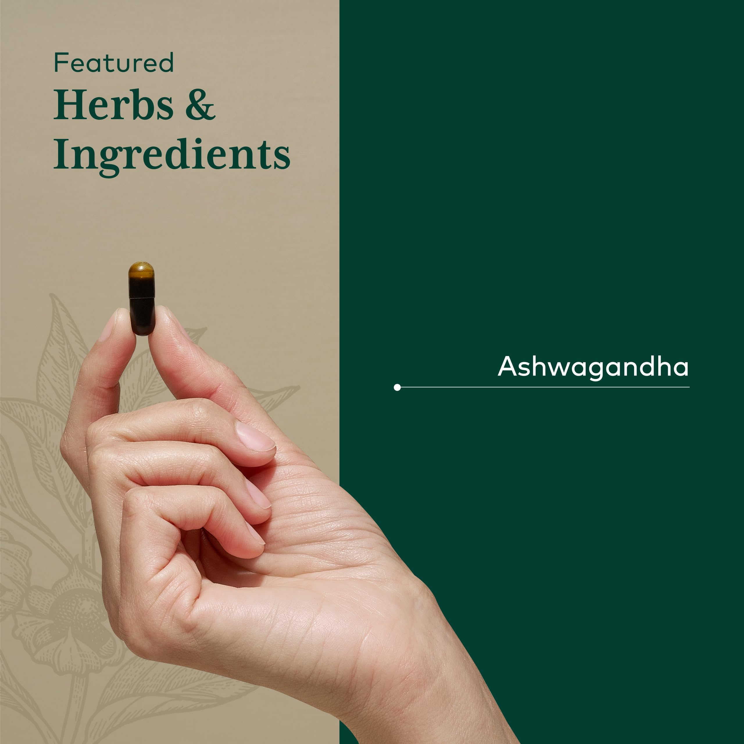 GAIA Herbs PRO Ashwagandha 700 capsule dispense, easy daily ritual.